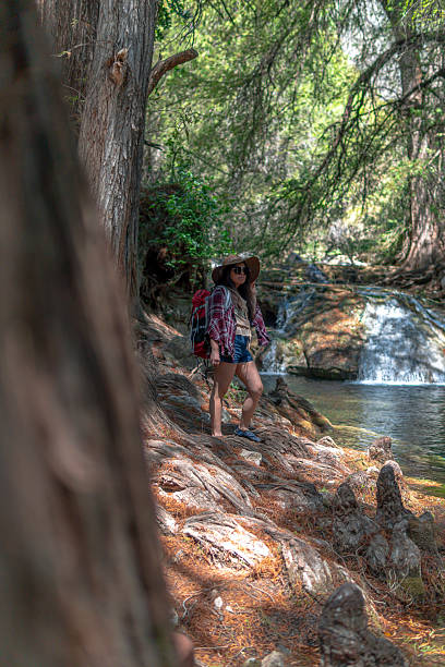 istock Young hiker woman exploring a river and waterfall in the forest 2205941320