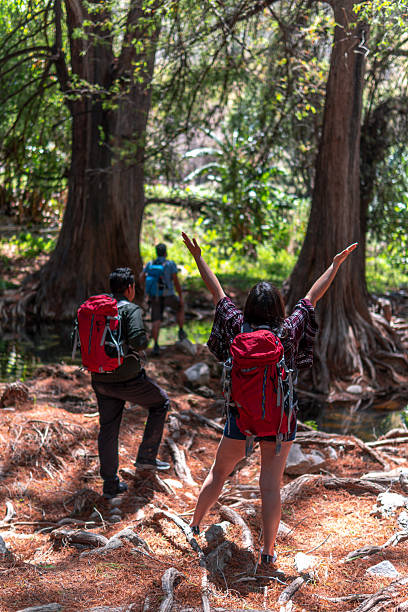 istock Hikers exploring lush forest with waterfall in the background 2205942108