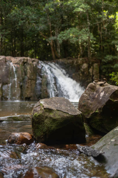 istock Waitui falls near Port Macquarie 2205946893