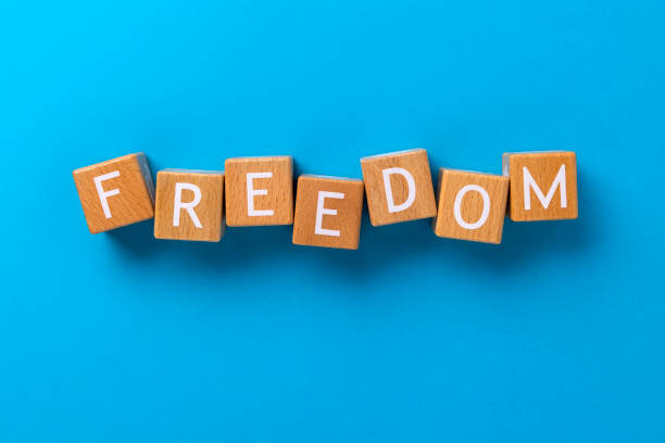 istock Block Words with Freedom on a Blue Background 2205947171