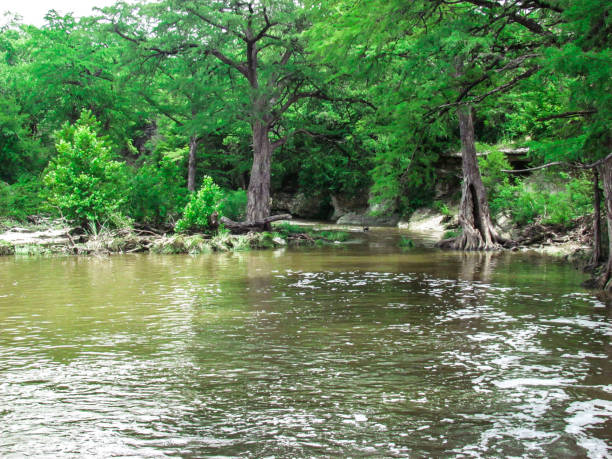 istock Water Stream Surrounded By Lush Green Trees 2205947957