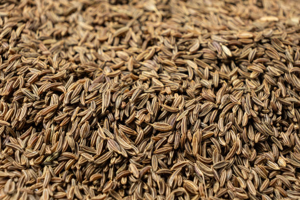istock Dried Whole Cumin Traditional and Natural Spice 2205956702