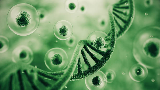 istock 3d rendering Colorful DNA and flying Human cell or Embryonic stem cell on microscope background, Depth Of Field. 2205959068