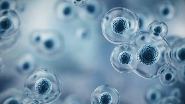 istock 3d rendering Flying Human cell or Embryonic stem cell on microscope background, Depth Of Field. 2205959182