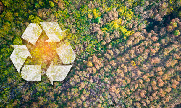 istock The Importance of Environmental Conservation 2205960592