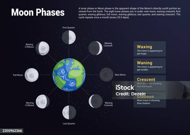 Moon Flow Chart Moon Phases Chart Clipart Lunar Cycle Movement In Different Phases Like ...
