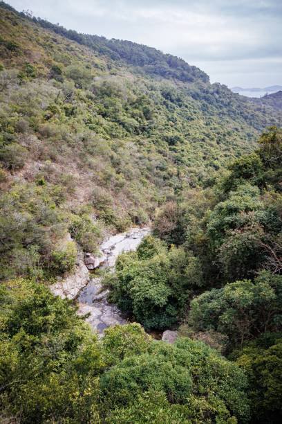 istock Lush Green Valley with a Flowing Stream in Hong Kong 2205965126