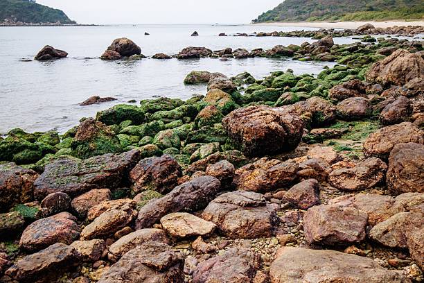 Hong Kong Landscape