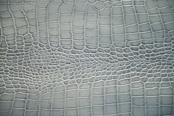 istock Crocodile Skin Leather Texture in grey color 2205967119