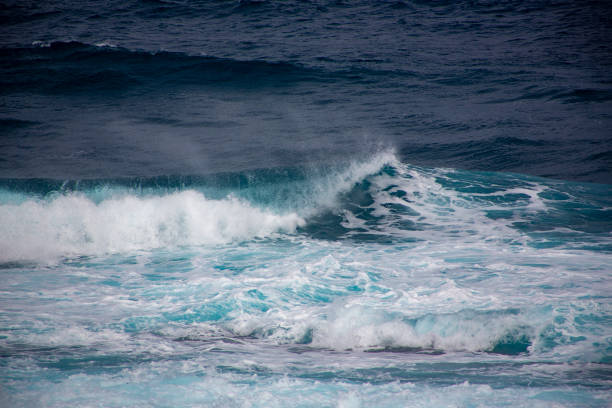 Dynamic winter seascape of Amami Oshima