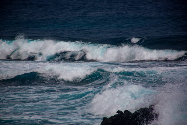 Powerful ocean waves crash against dark coastal rocks, creating white sea foam and spray in a dramatic natural seascape.