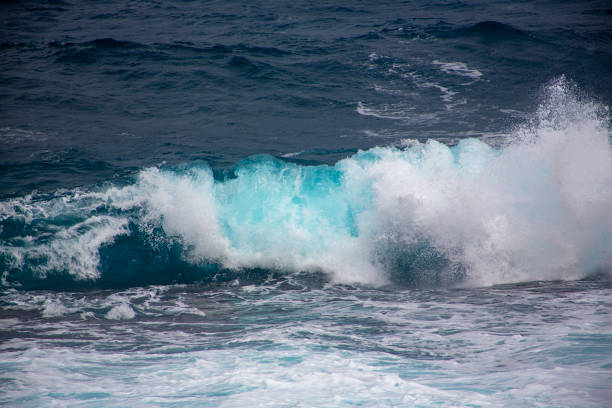 Blue sea wave on a sunny day