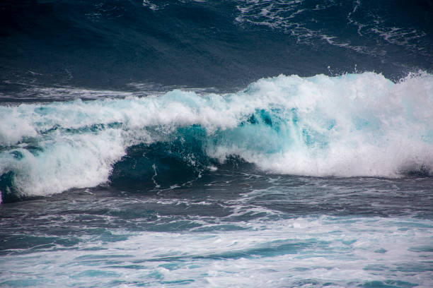 istock Dynamic winter seascape of Amami Oshima 2205974699