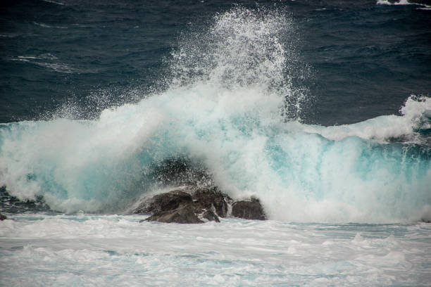 The dynamic and beautiful nature of Amami Oshima