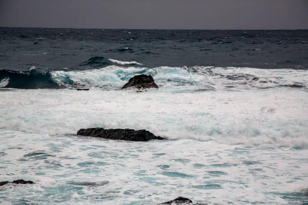 The dynamic and beautiful nature of Amami Oshima