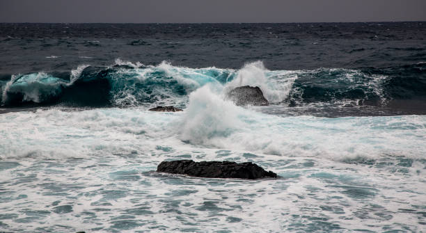 istock The dynamic and beautiful nature of Amami Oshima 2205975778