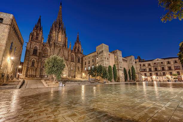 istock The Barcelona Cathedral at night 2205975850
