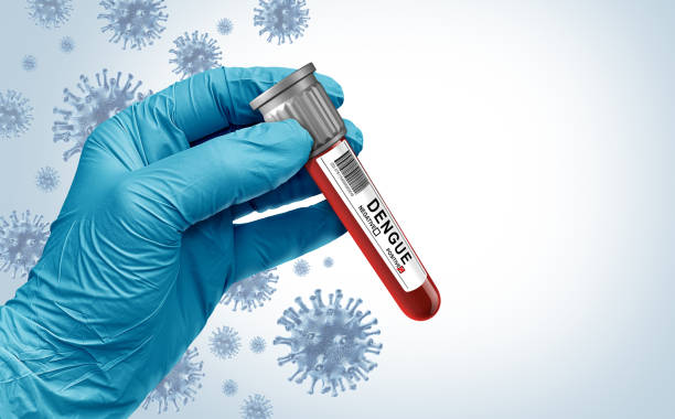 Dengue Fever Outbreak Dengue Fever Outbreak as a mosquito-borne illness or virus infection caused by an mosquitoes resulting in West Nile Virus Zika or malaria. malaria blood sample stock pictures, royalty-free photos & images