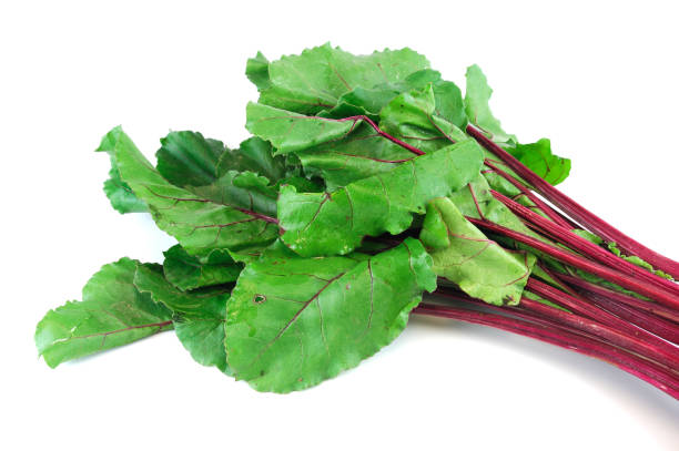 istock bunch of fresh beet leaves isolated on white background 2205978467