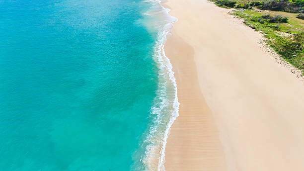 istock Stunning tropical view with warm white sand and refreshing turquoise waves lapping the shore. 2205979105