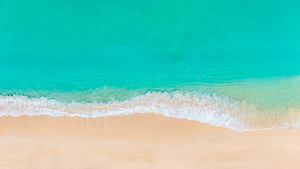istock Paradise beach with blue ocean, foamy waves, and fine white sand in tropical sunlight. 2205979417