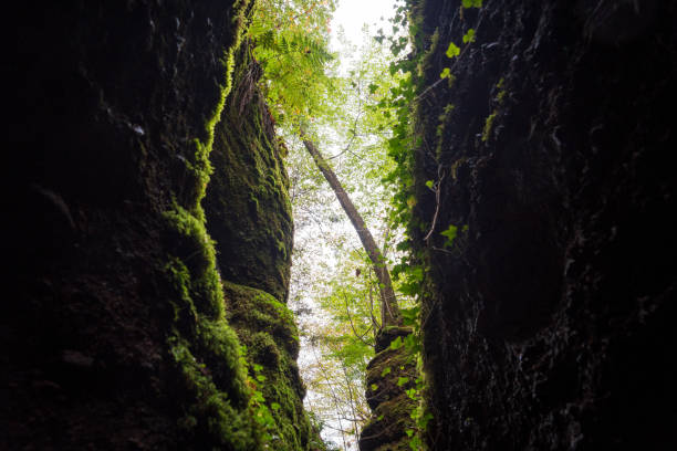 The Dragon Gorge, Hiking area in Eisenach, Thuringia, Germany