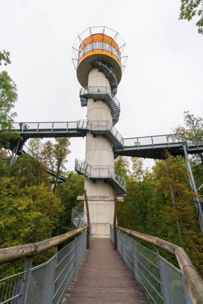 istock Observation deck at Hainich National Park, National park in Thuringia 2205987266