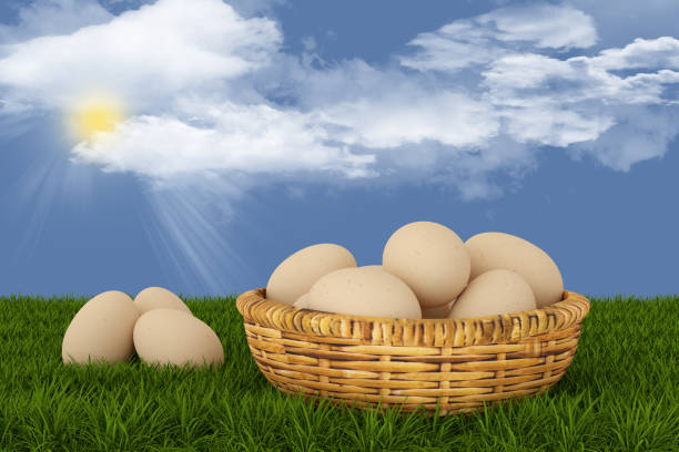3D Illustration. Spring, summer, Easter. Basket of eggs with meadow and butterflies, sky and trees in the background. Daisies and flowers color the green meadow.
