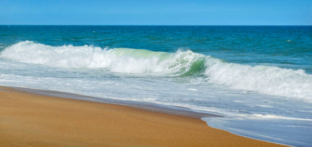 istock wave forming a roll breaking on a beach with yellow sand ocean atlantic portugal 2205994123