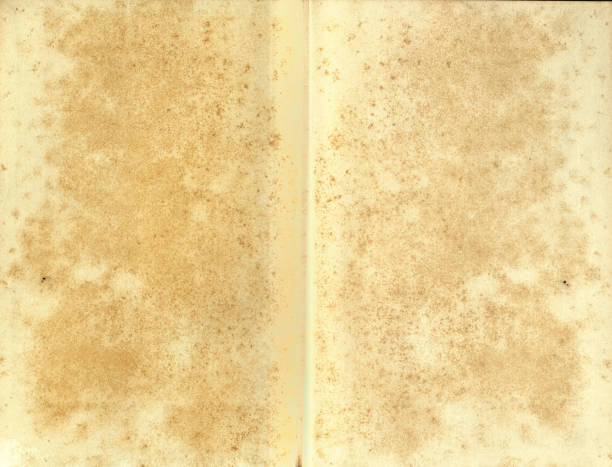 Open old book with used paper pages isolated on white background