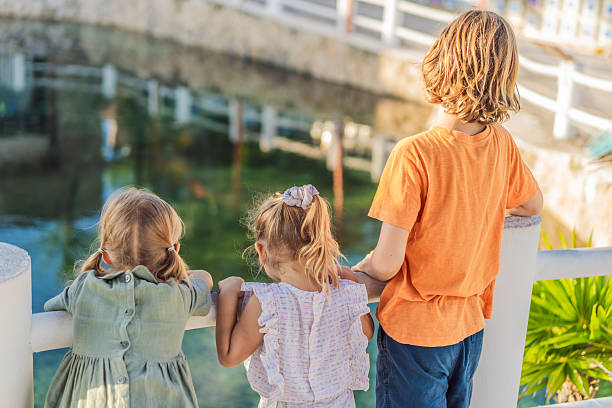 istock Children looking at fish in a pond 2205996664