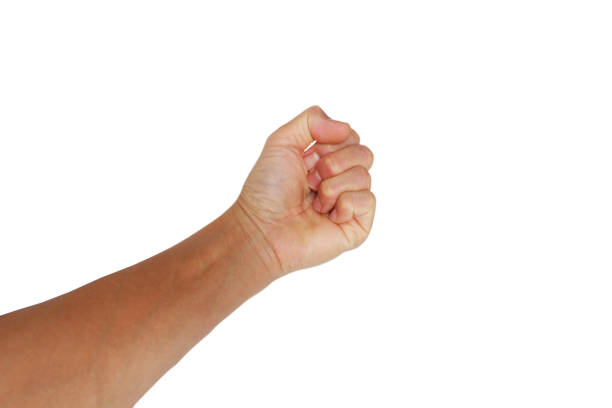 Male clenched fist with blood veins represents the strength isolated on white background