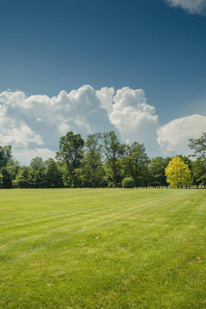 istock summer park with a lake 2206002694