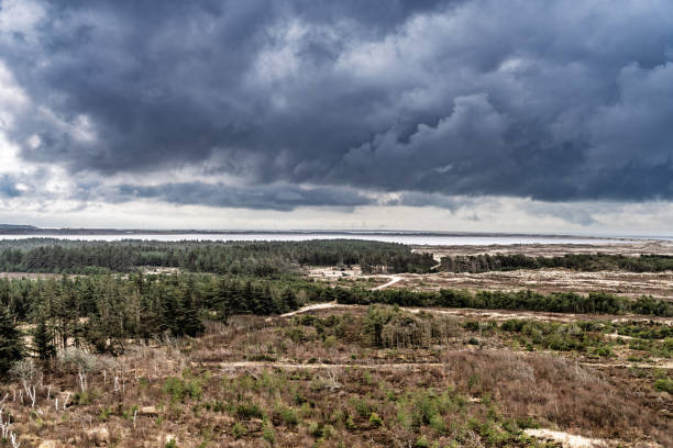 Aerial View of Forested Landscape Under Dramatic Overcast Sky, Lodbjerg, Denmark
