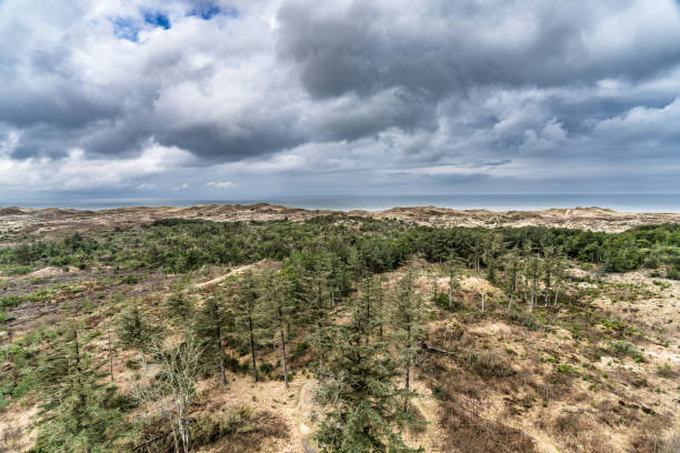istock Aerial View of Forested Landscape Under Dramatic Overcast Sky, Lodbjerg, Denmark 2206004387