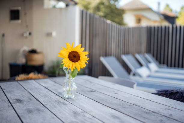 A bright sunflower in a glass vase sits on a wooden patio table, capturing the essence of summer relaxation. Lounge chairs in the background suggest a peaceful outdoor setting.