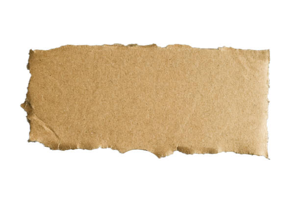 istock torn piece of paper  on a white backgroud 2206005315