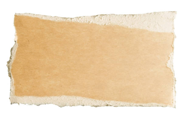 istock a torn piece of paper on a white backgroud 2206005885