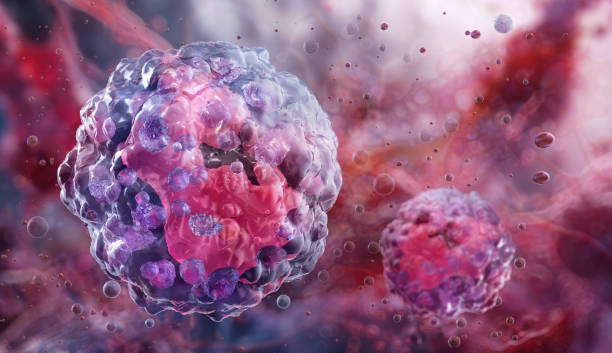 istock Basophil white blood cell, type of granulocyte with granular cytoplasm, nucleus, cellular organelles. 2206009261