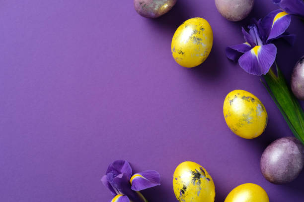 Easter composition with yellow and purple eggs, and irises on a purple background. Flat lay, top view, copy space