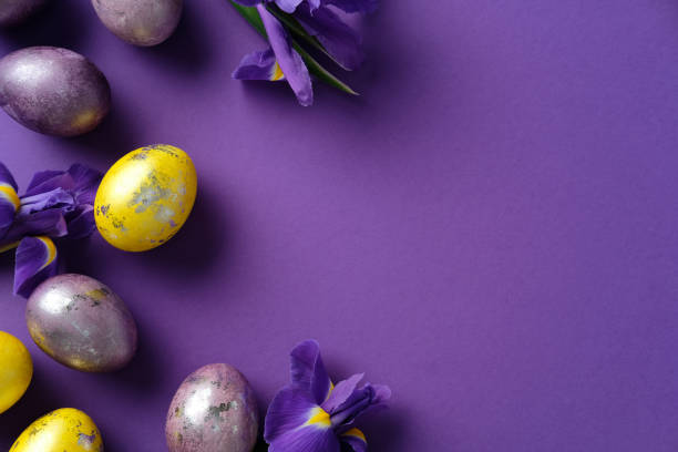 istock Vibrant Easter composition featuring yellow and purple eggs with irises on a purple background. Flat lay, top view, copy space 2206010767