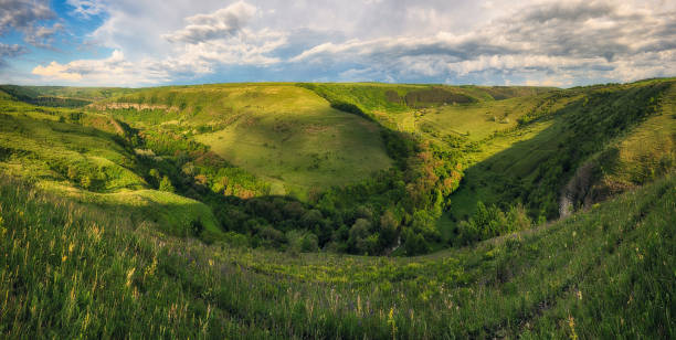 istock Morning Spring Meadow with Expressive Sky, Ukraine 2206015345
