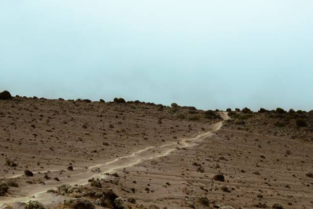 Porters hiking the Machame Route on Mt Kilimanjaro in Tanzania