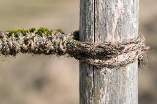 A weathered hemp cord is wrapped around a wooden post. Moss has already settled on the string. There is space for text