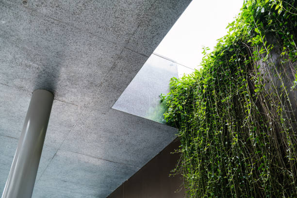 Modern interior granite concrete wall with green lush ivy cascading, pillar and light space ceiling
