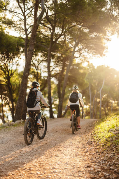 istock Cyclists Enjoying Mountain Trail in Sunlit Forest 2206031308