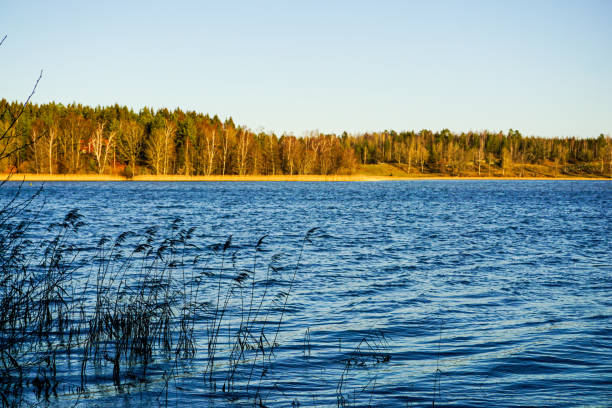 Scenic view of a lake against blue sky