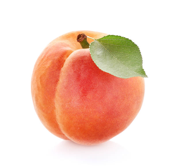istock Apricot fruit with leaves in closeup 2206031937