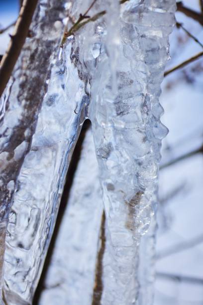 An ice floe in winter. Texture, natural formation