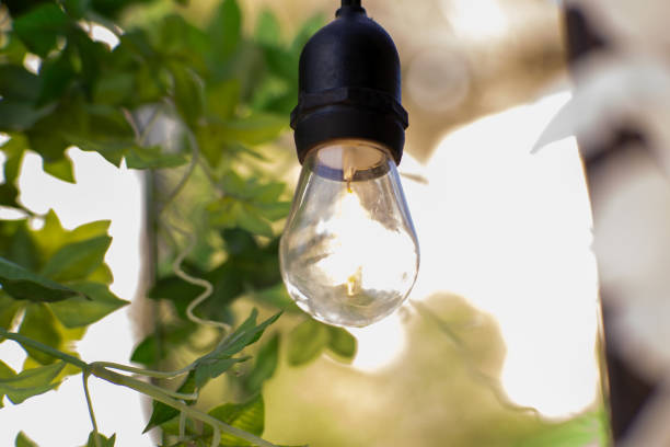 istock A single Edison-style light bulb hangs among green leaves, emitting a warm, soft glow. 2206035132